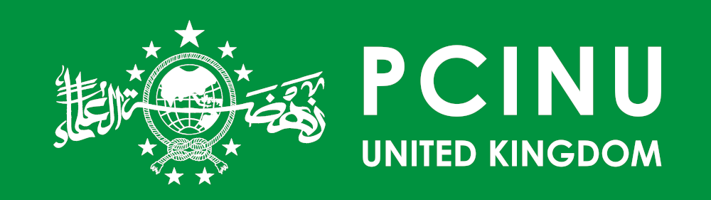 PCINU UK